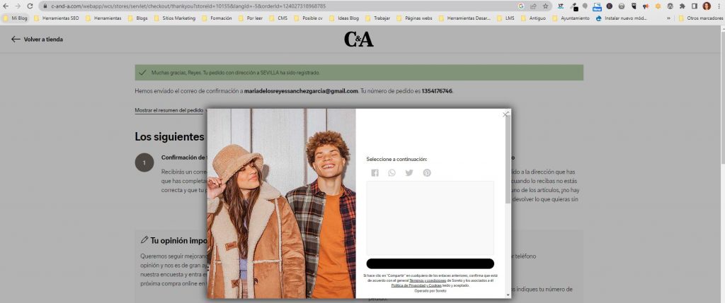 Ejemplo de defectos detectados en Webs: Mensaje confuso tienda online