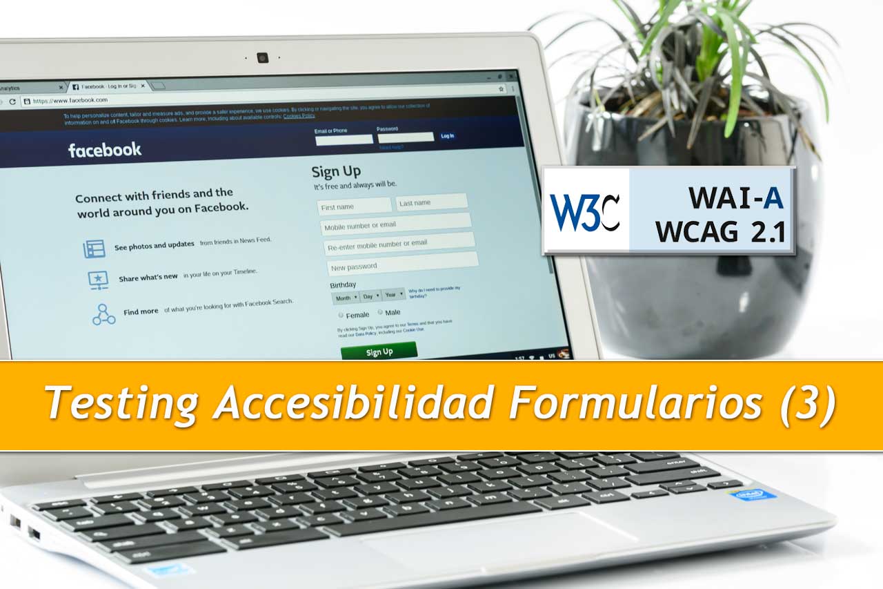 Testing de accesibilidad en formularios web 3